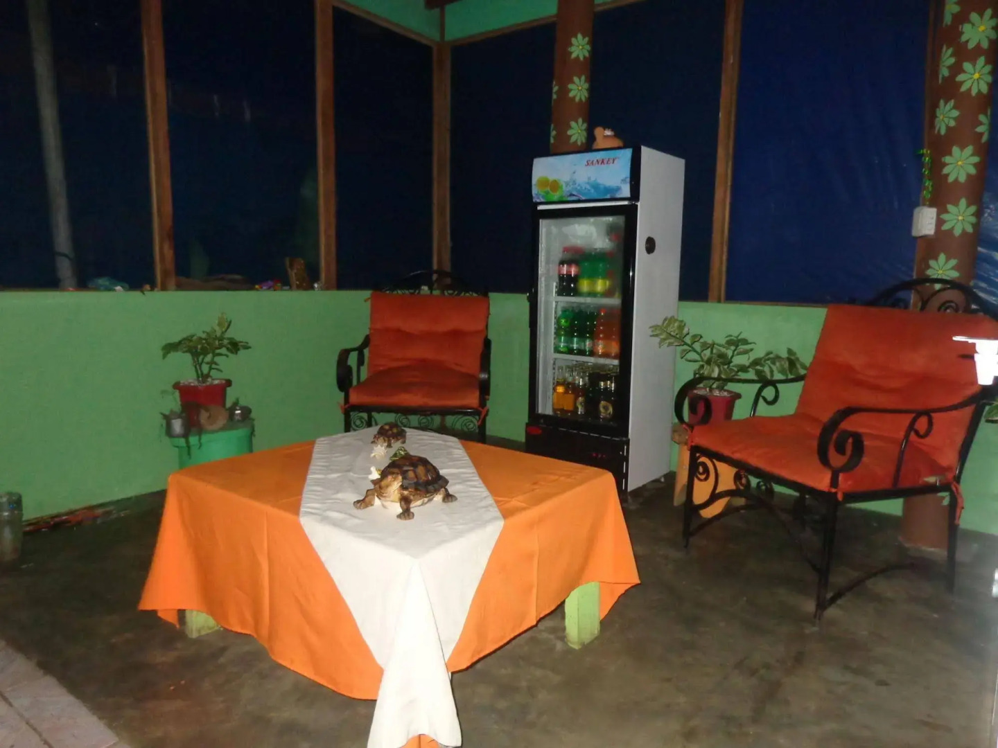 Cabinas Tortuguero Natural