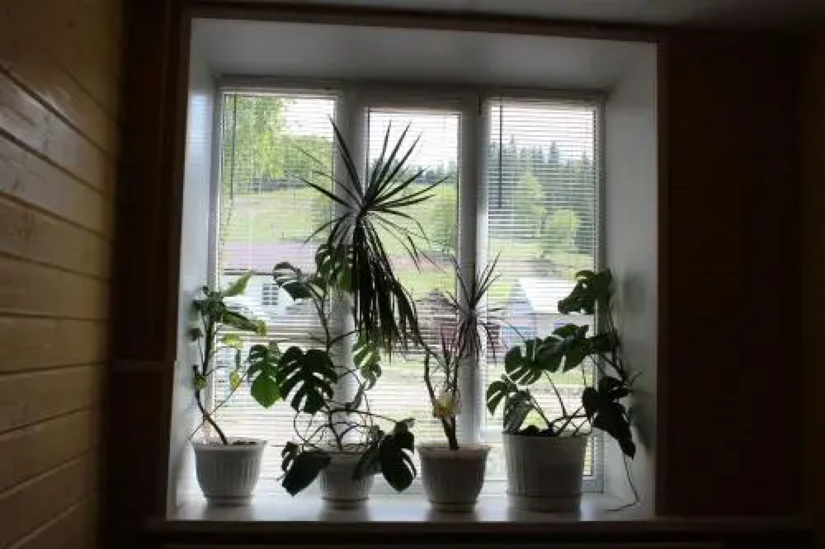 Guest House in Krasnyy Klyuch