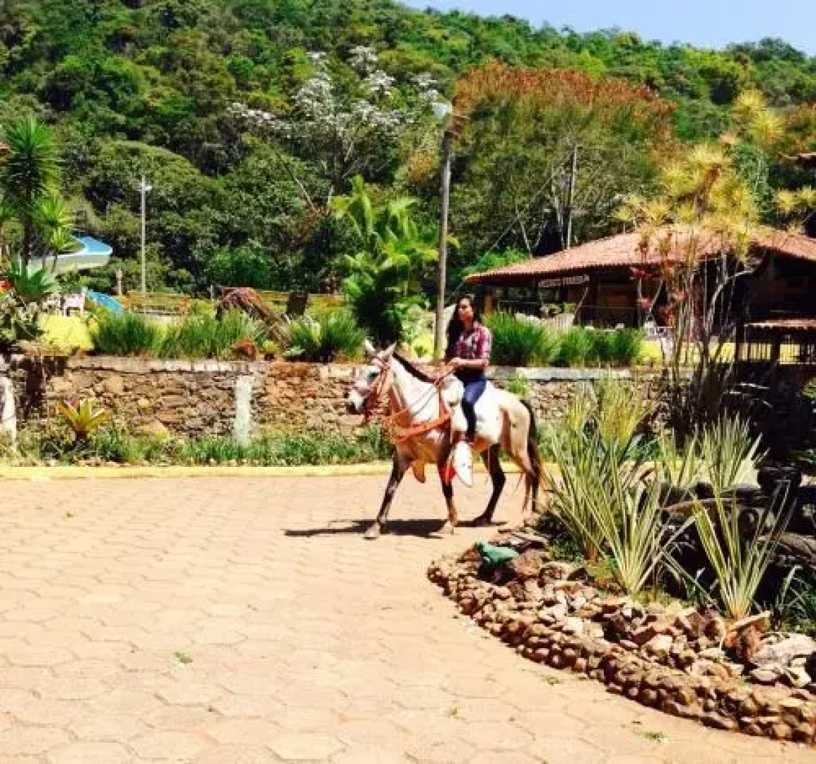 Galeria 12 Hotel Fazenda