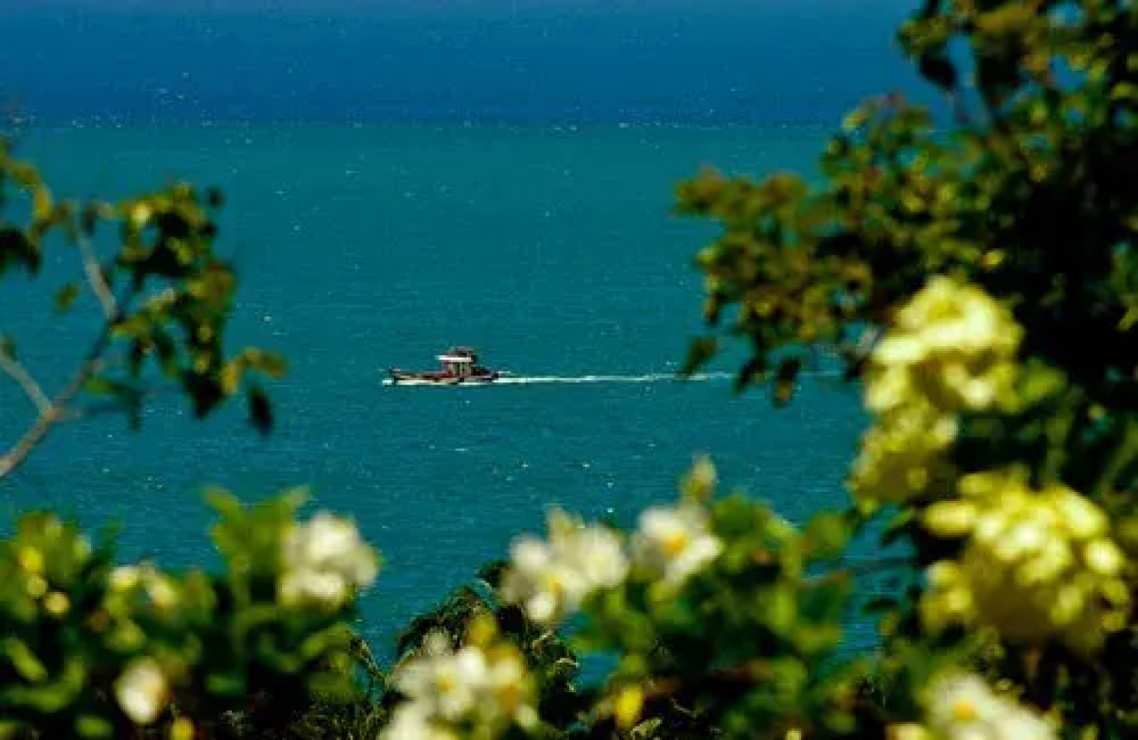 Sarangani Highlands Garden