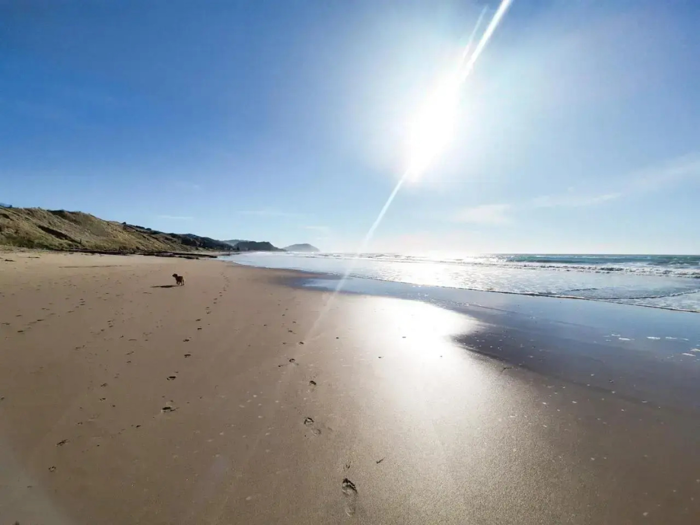 The Quarters Ocean-View Chalet (Adults Only)