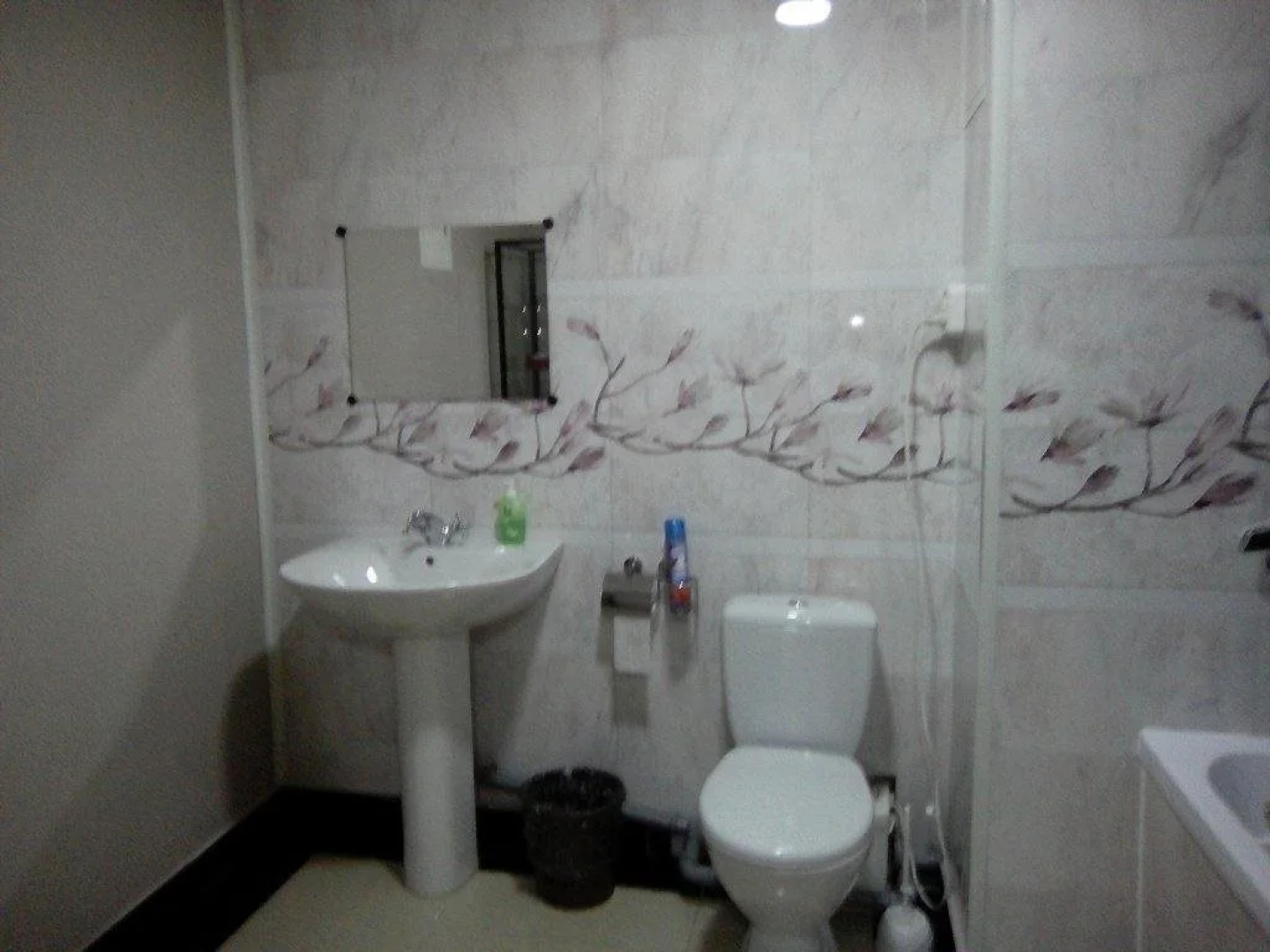 Hotel Rica