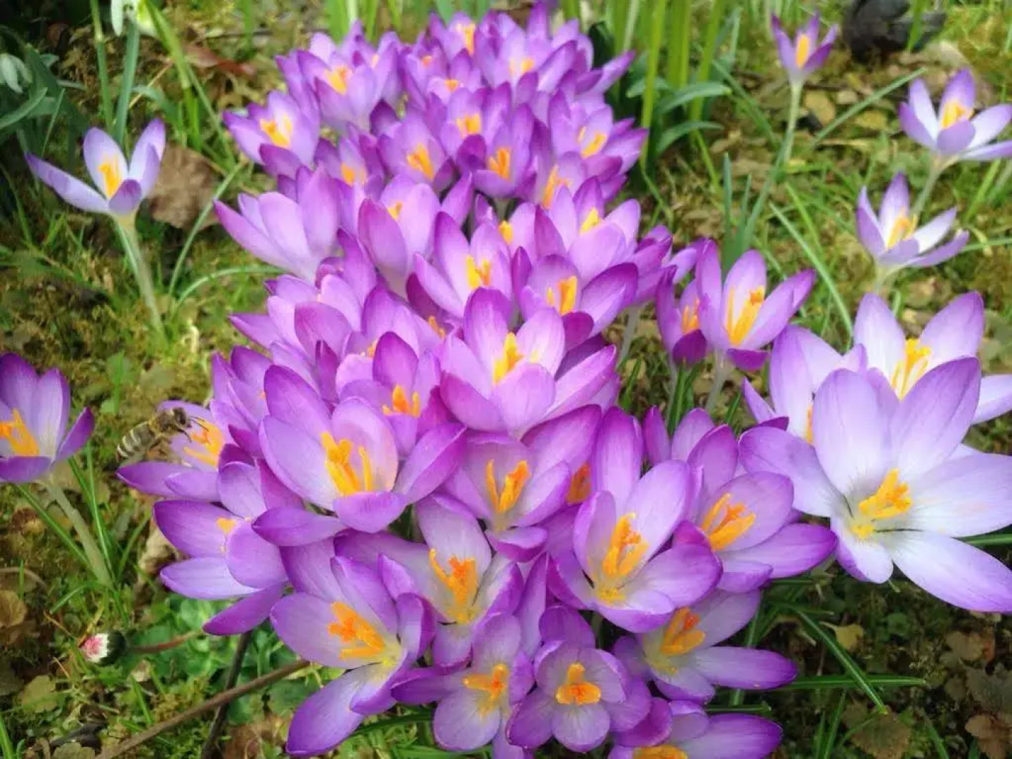 Wohlfühlhotel Sonnengarten