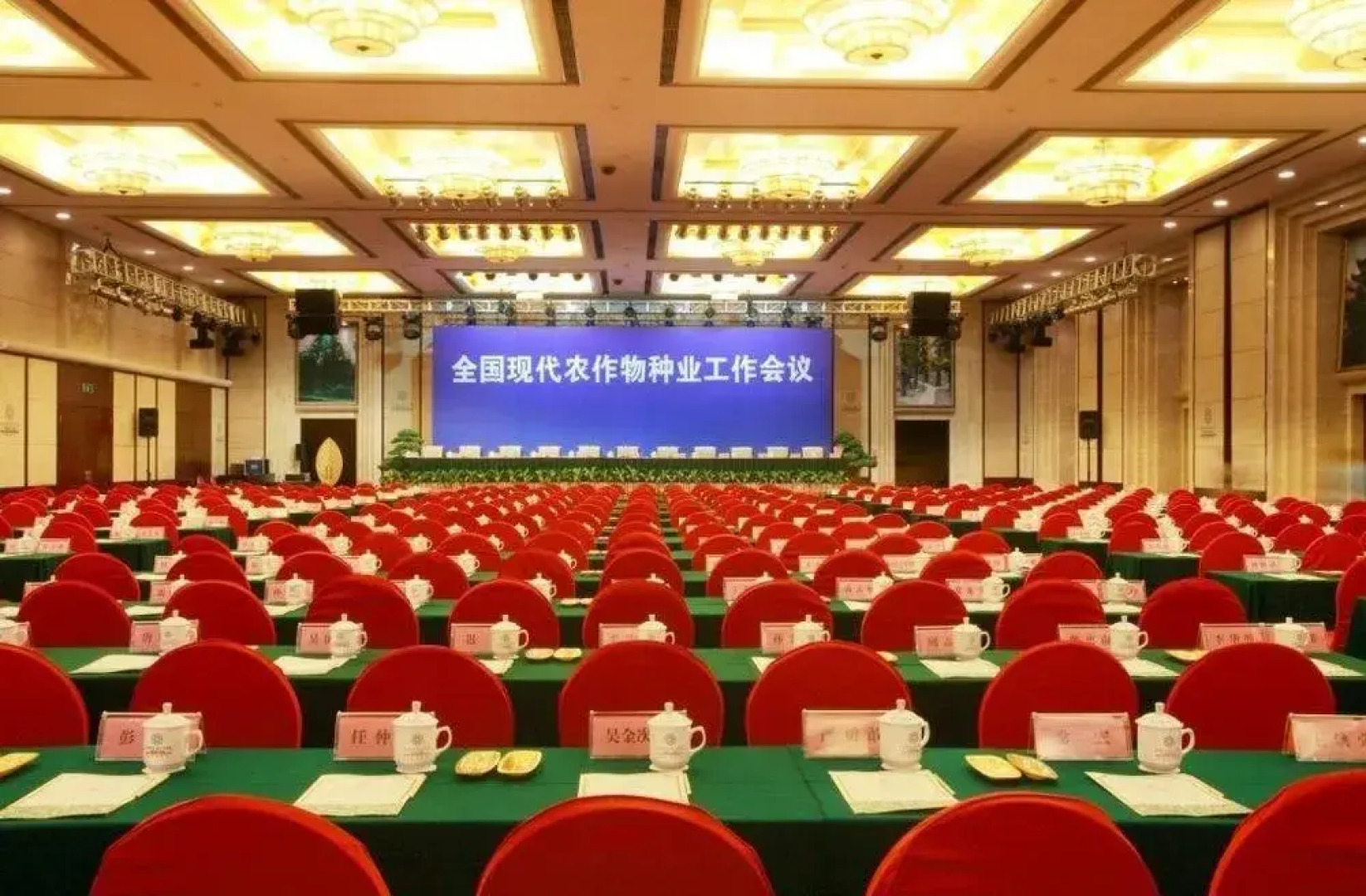 Vaya International Hotel