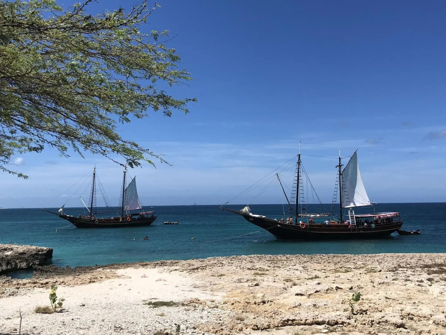 Swiss Paradise Aruba