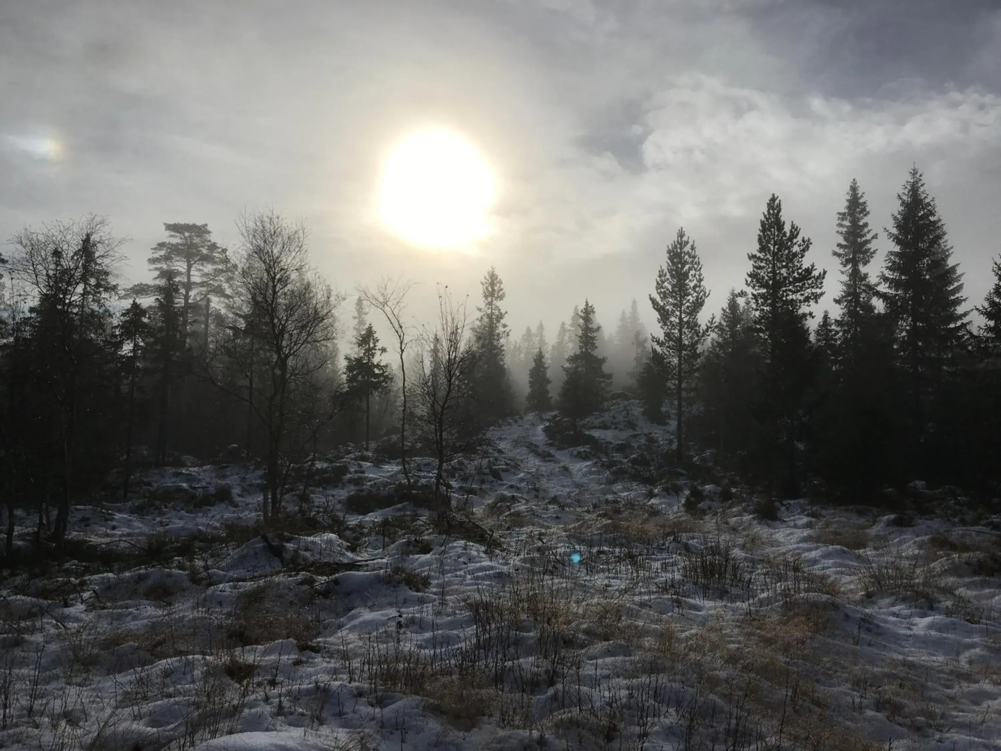 Bed and Breakfast Hadeland