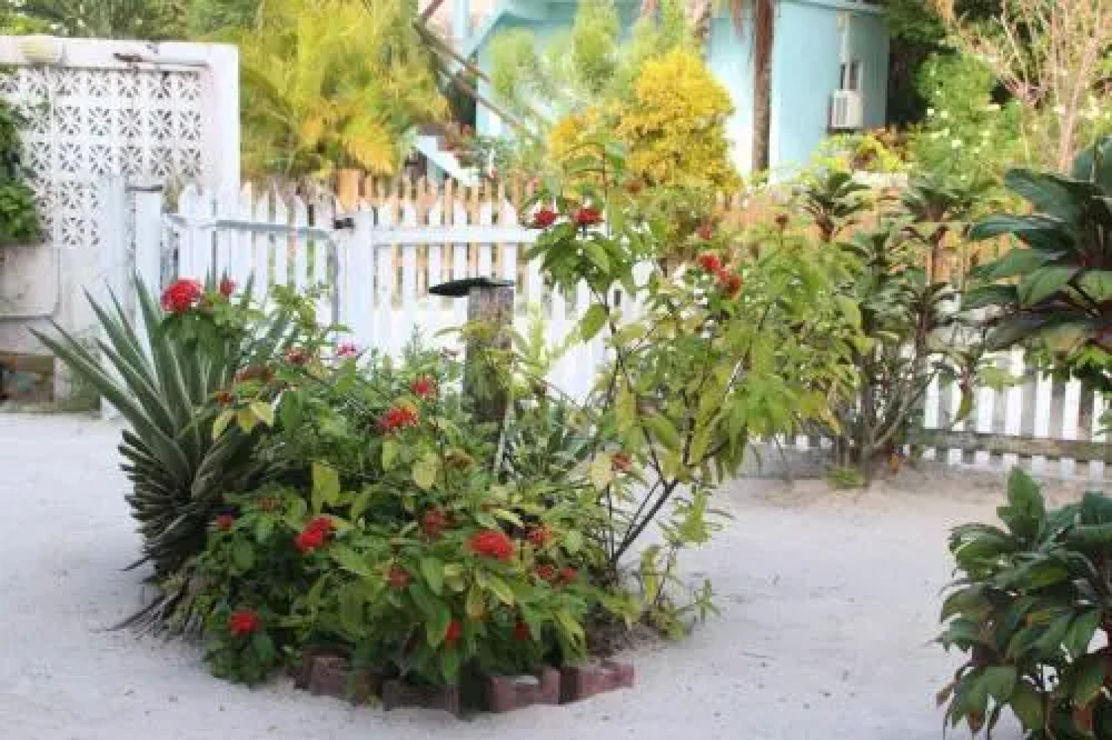 Casita Carinosa