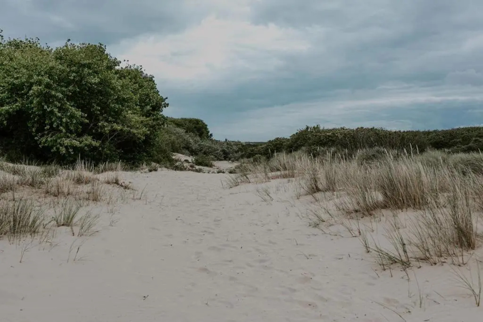 Zuiders appartement op 150m van duinen en strand