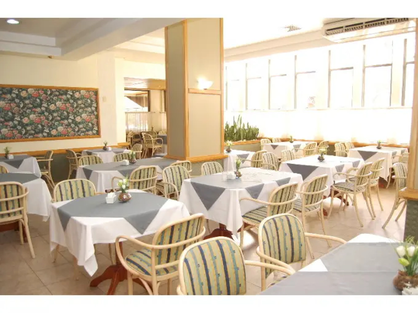 Hotel Suarez Internacional