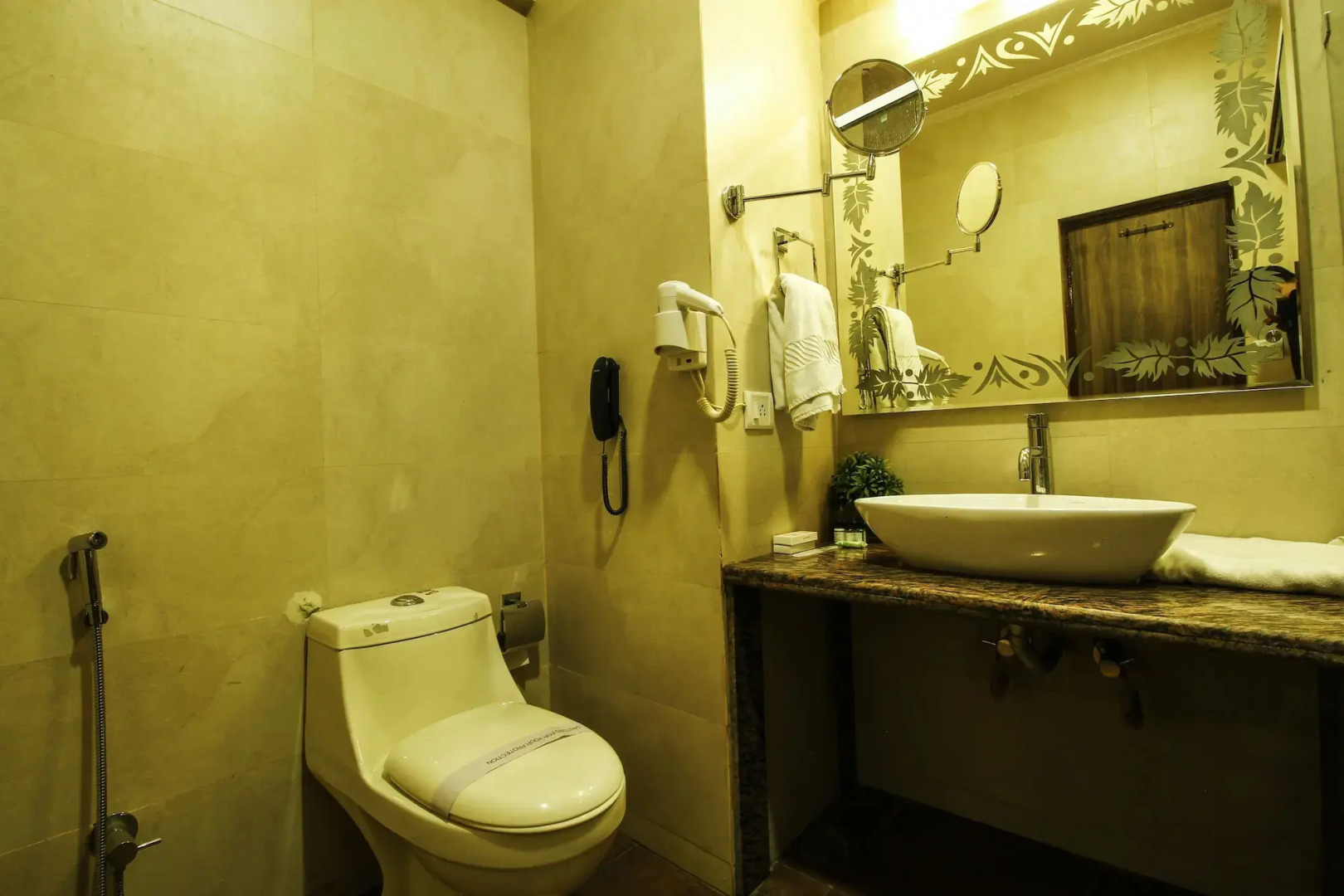 Welcome Hotel at Srinagar