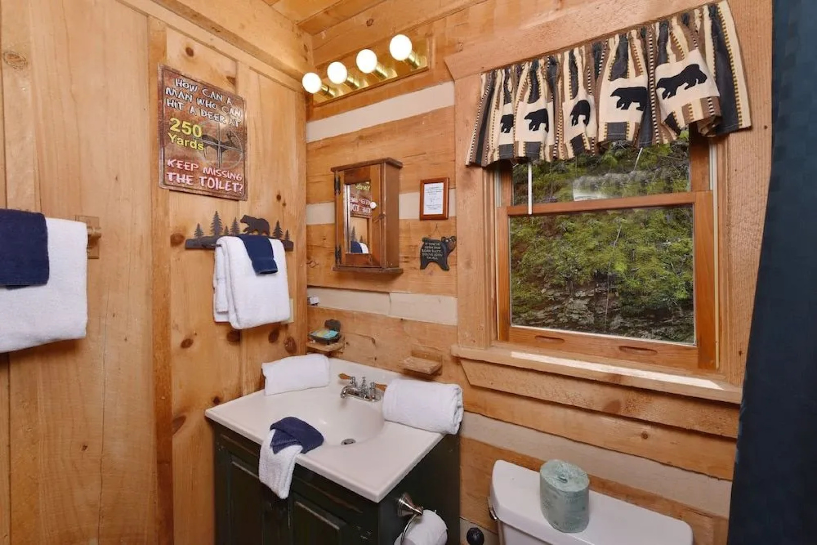 Bear Nekkid 1 Bedroom 1 Bathroom Cabin
