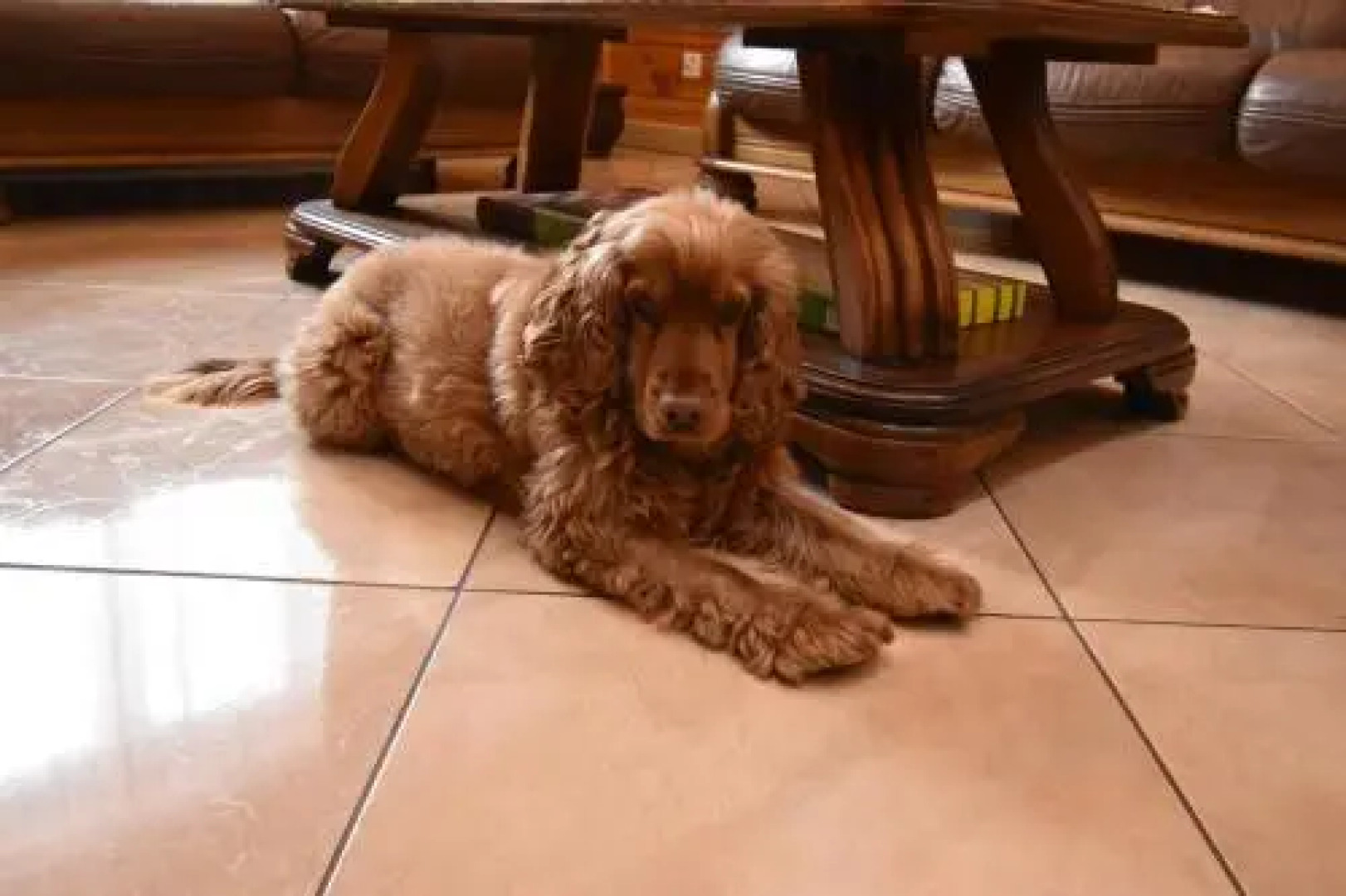 Pokoje Gościnne Na Skraju Puszczy