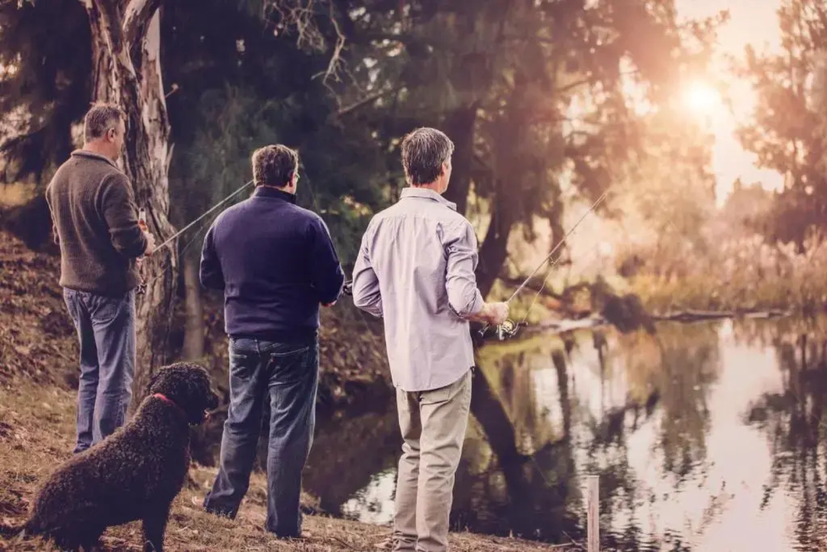 Evanslea Luxury Boutique Accommodation