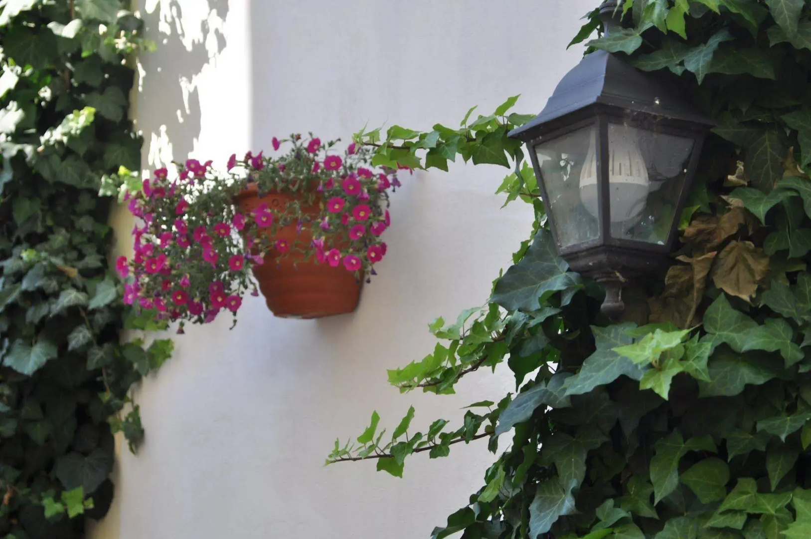 Apartment Residence - Free Parking