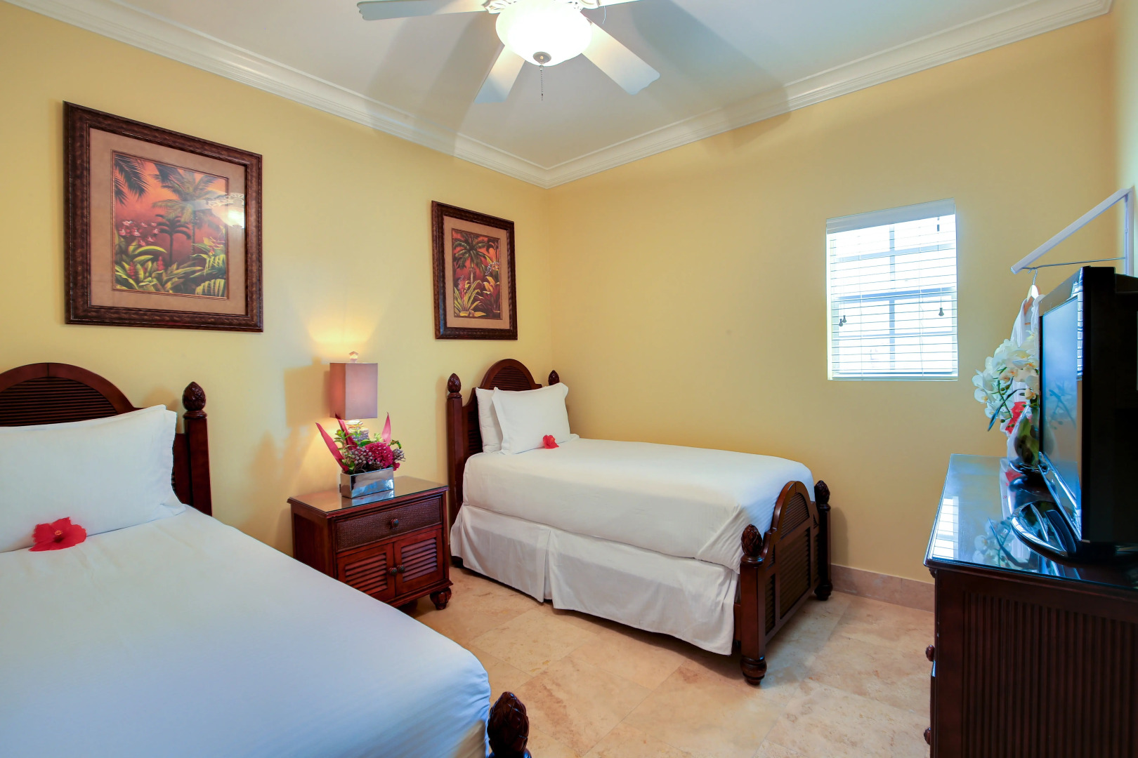 Windsong on the Reef