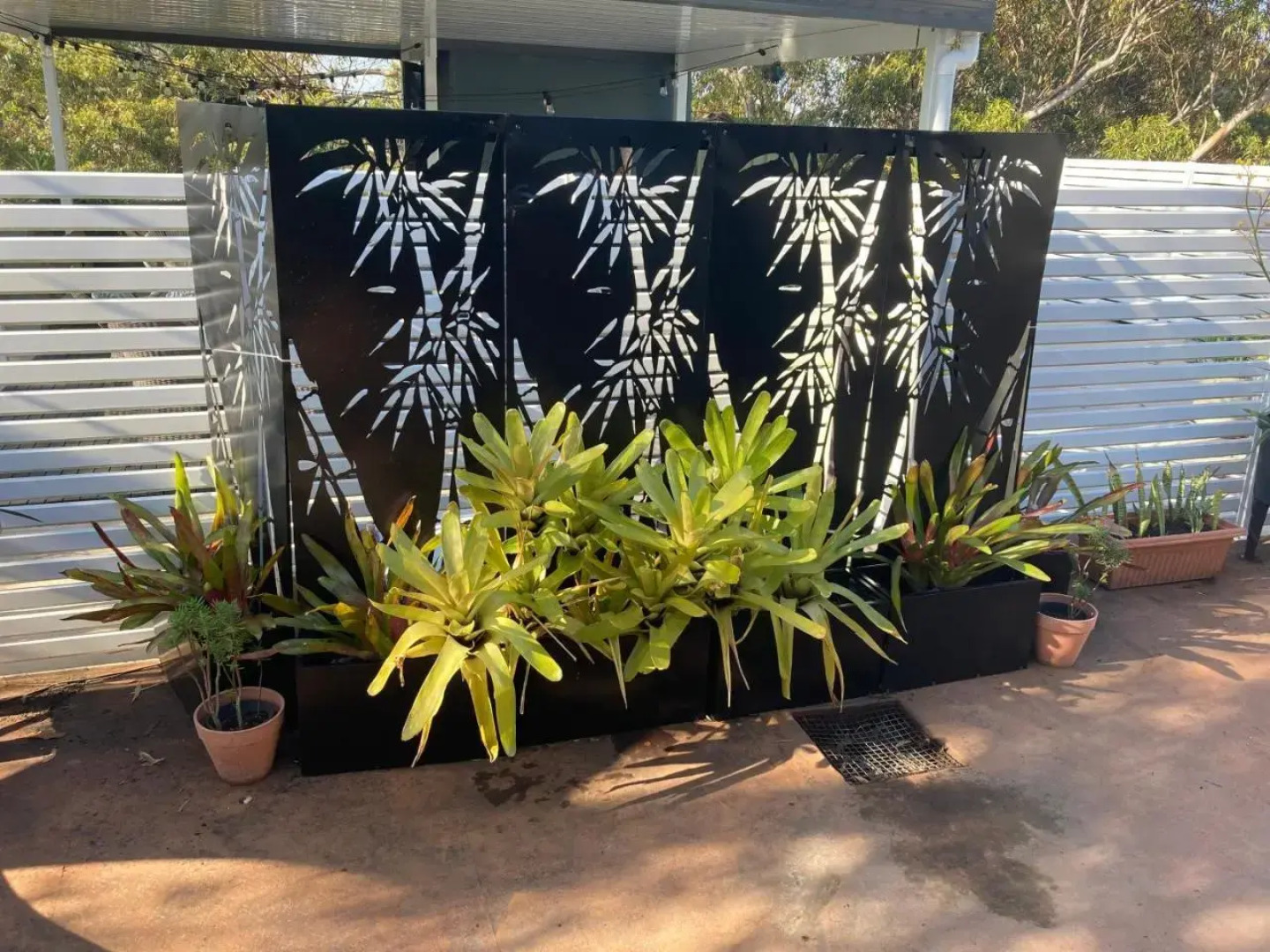 1166 on Booner - Hawks Nest