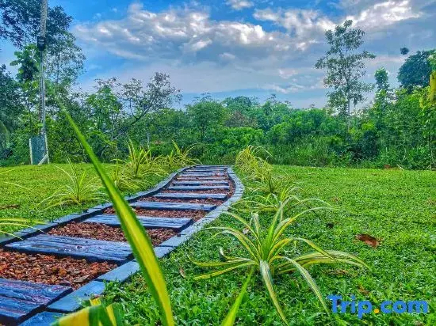 The Mountain Breeze Galle