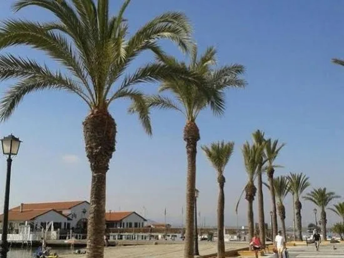 Apartamentos Margoysa I