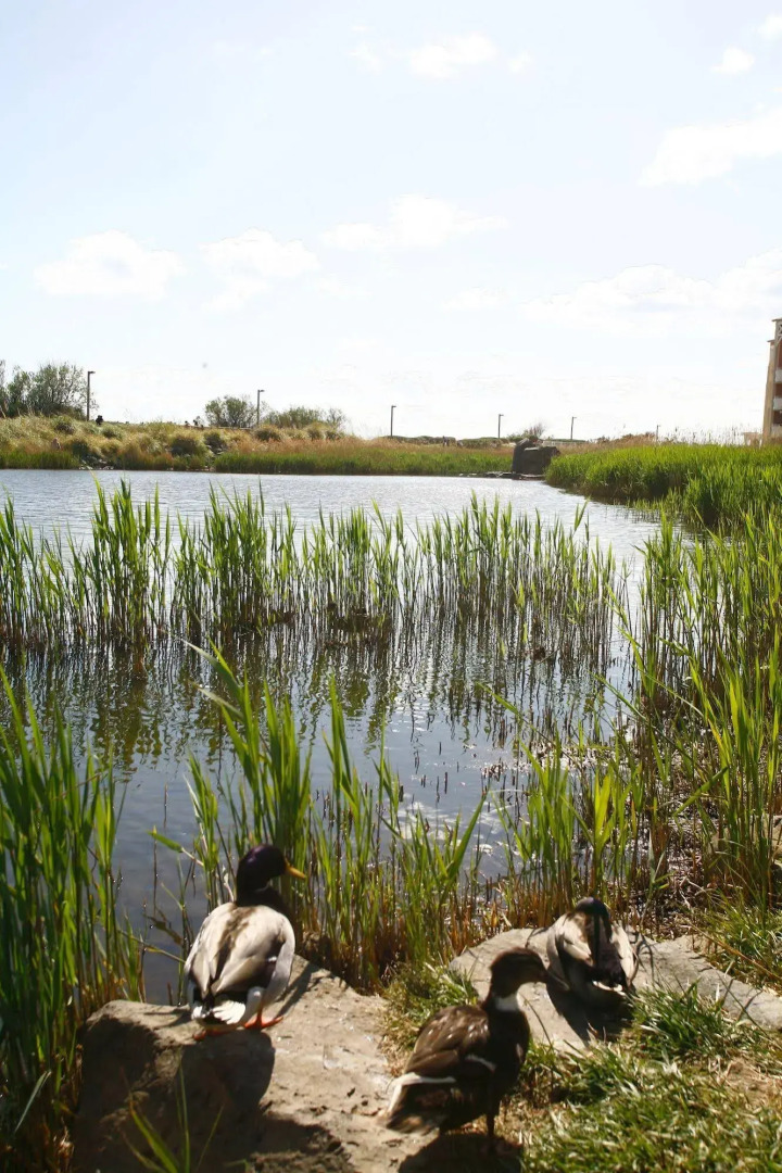 Odalys Résidence Primavera