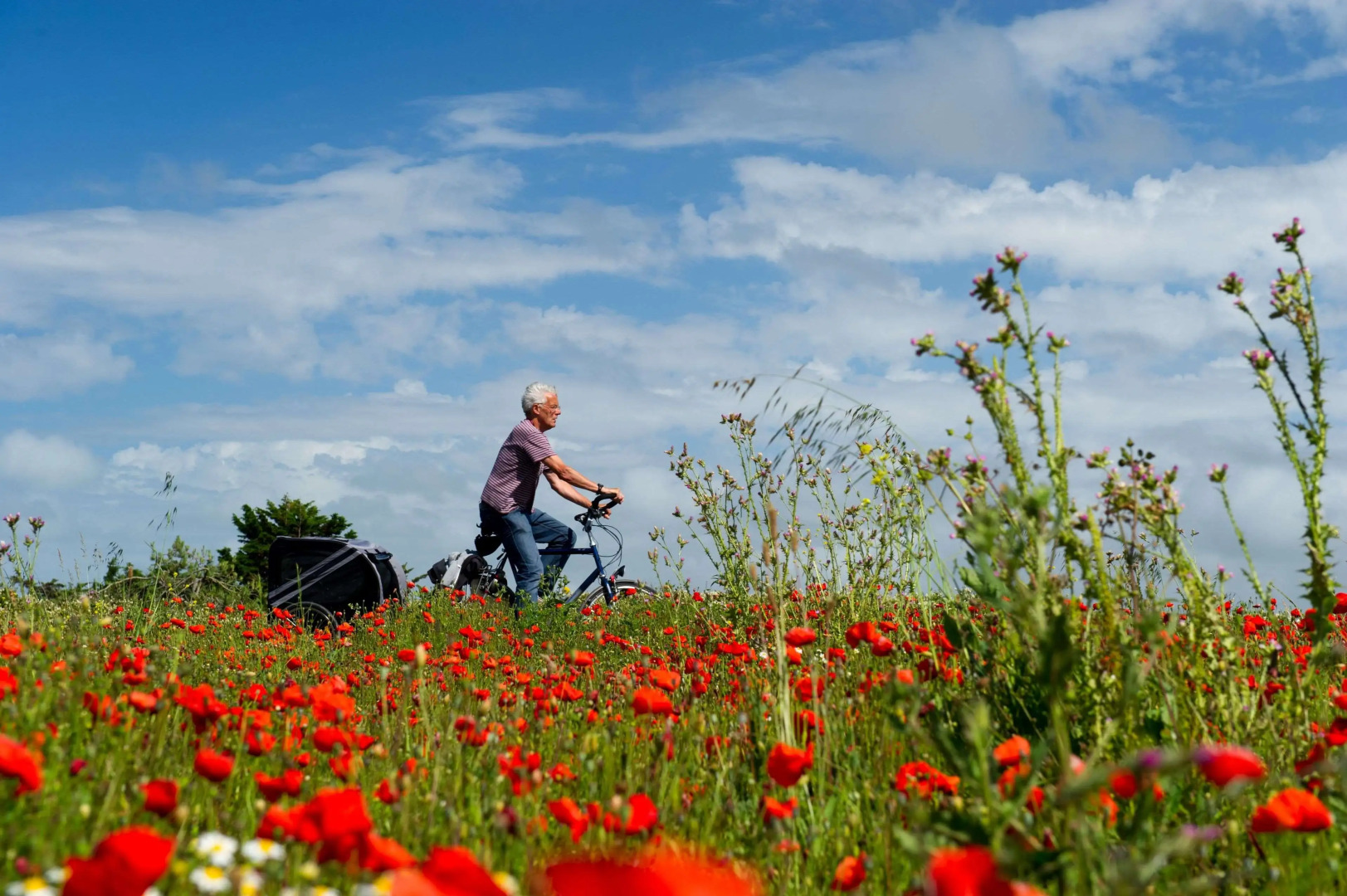 Astralis Hotel Domizil