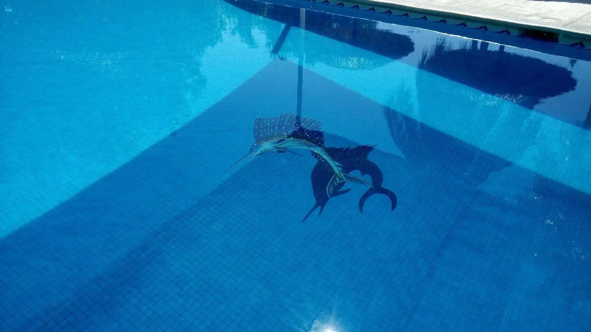 Hotel & Club Campestre Altos Paraiso