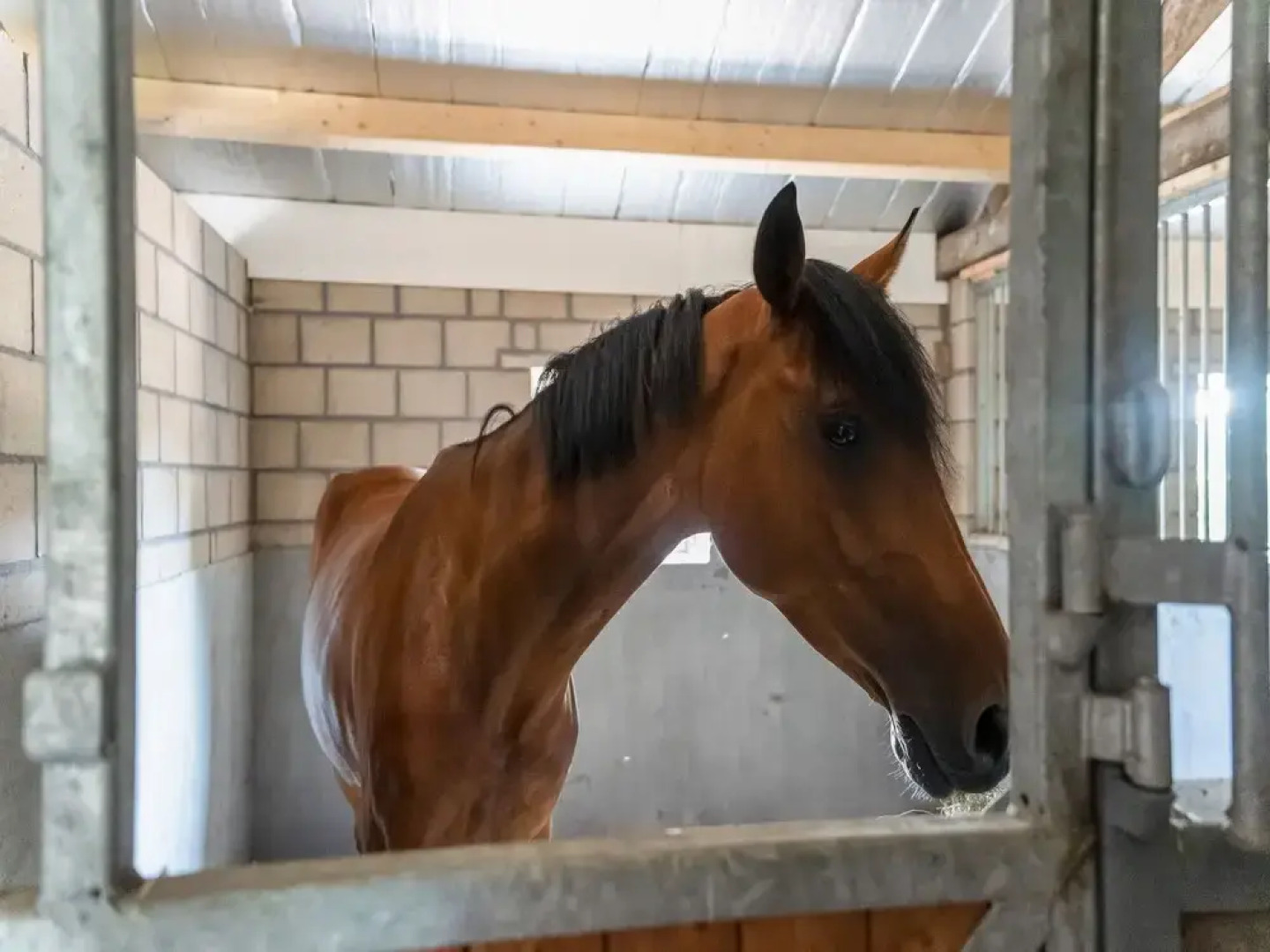 Lush Holiday Home With a Private Hot Tub