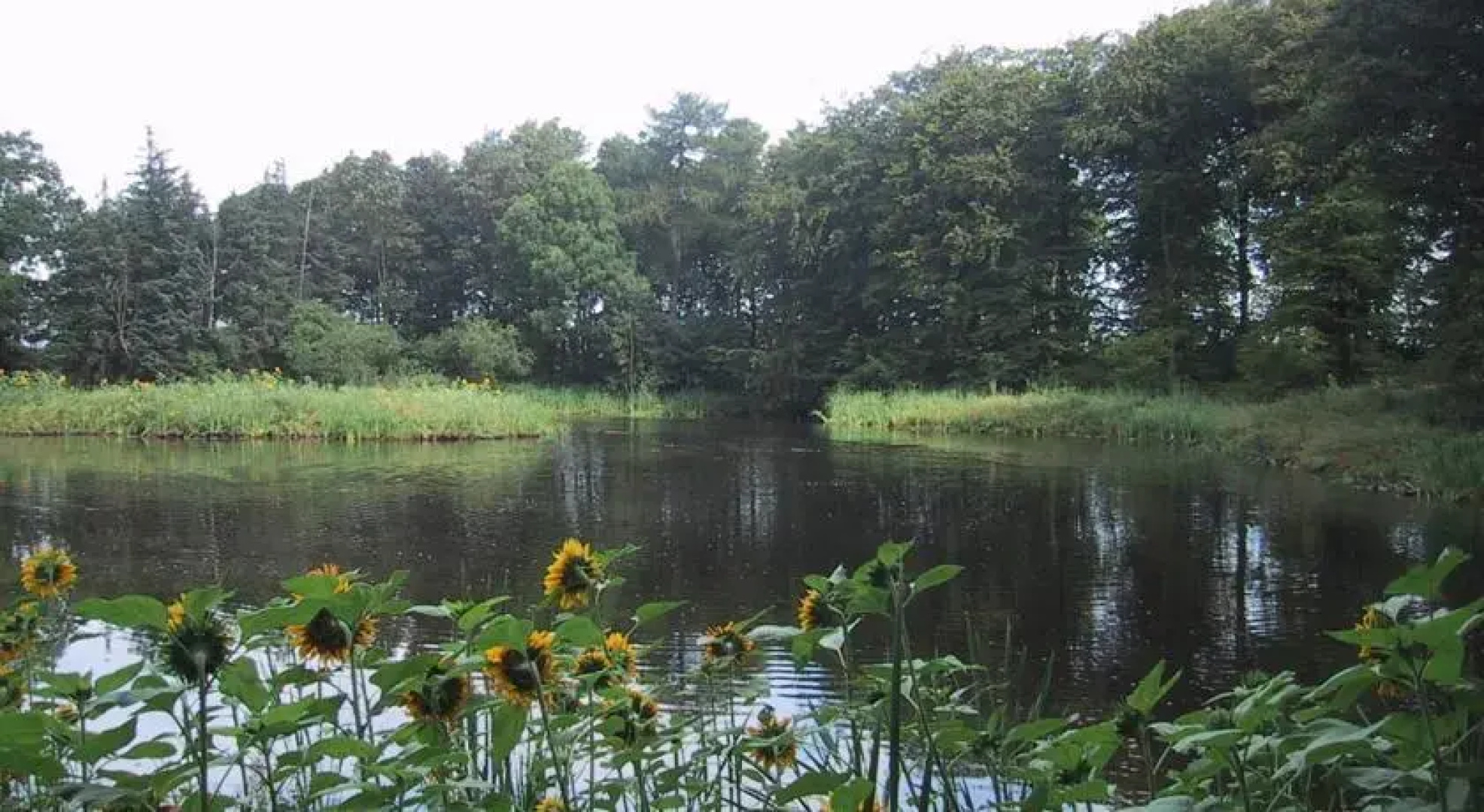 Sonnerupgaard B&B