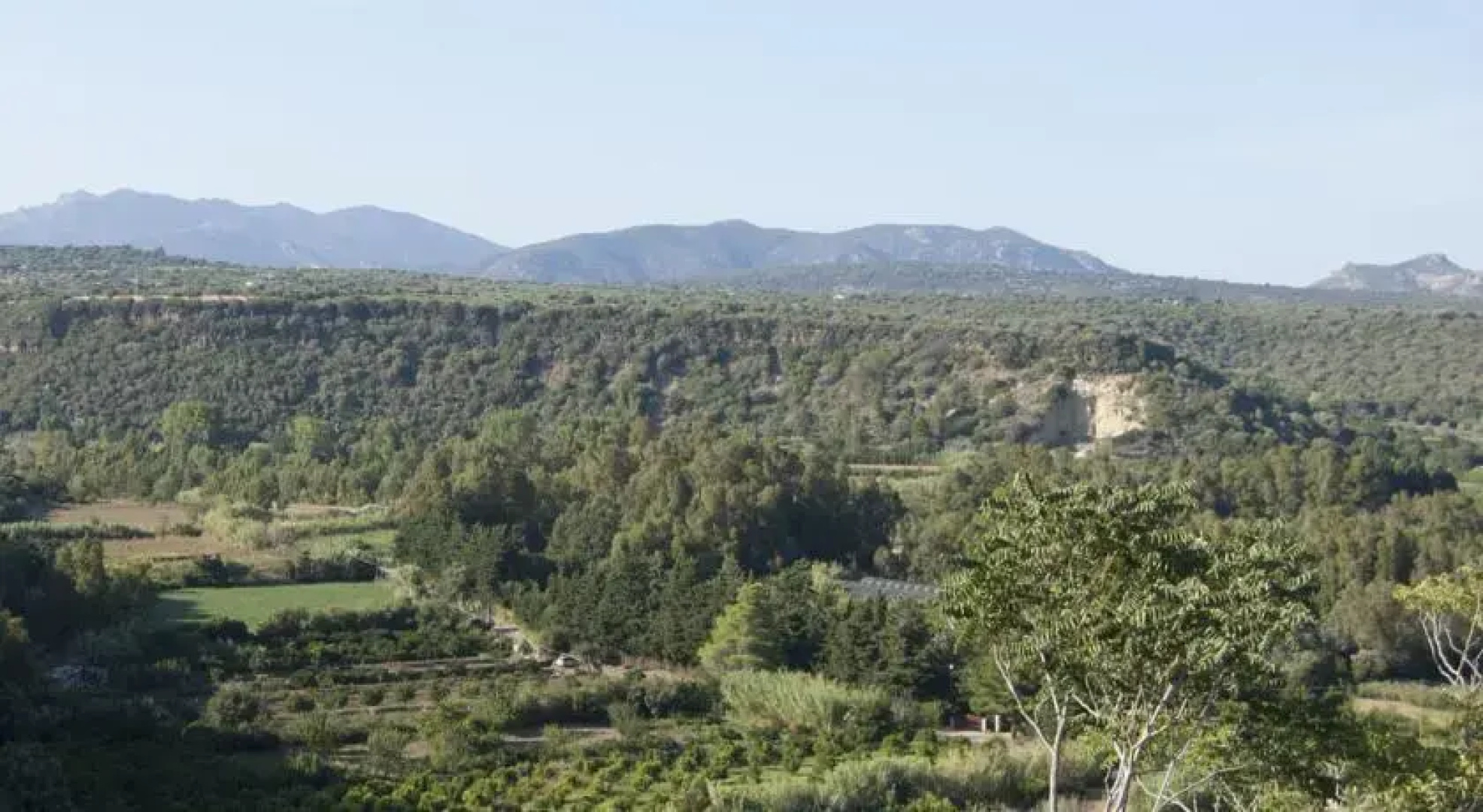 B&B Belvedere