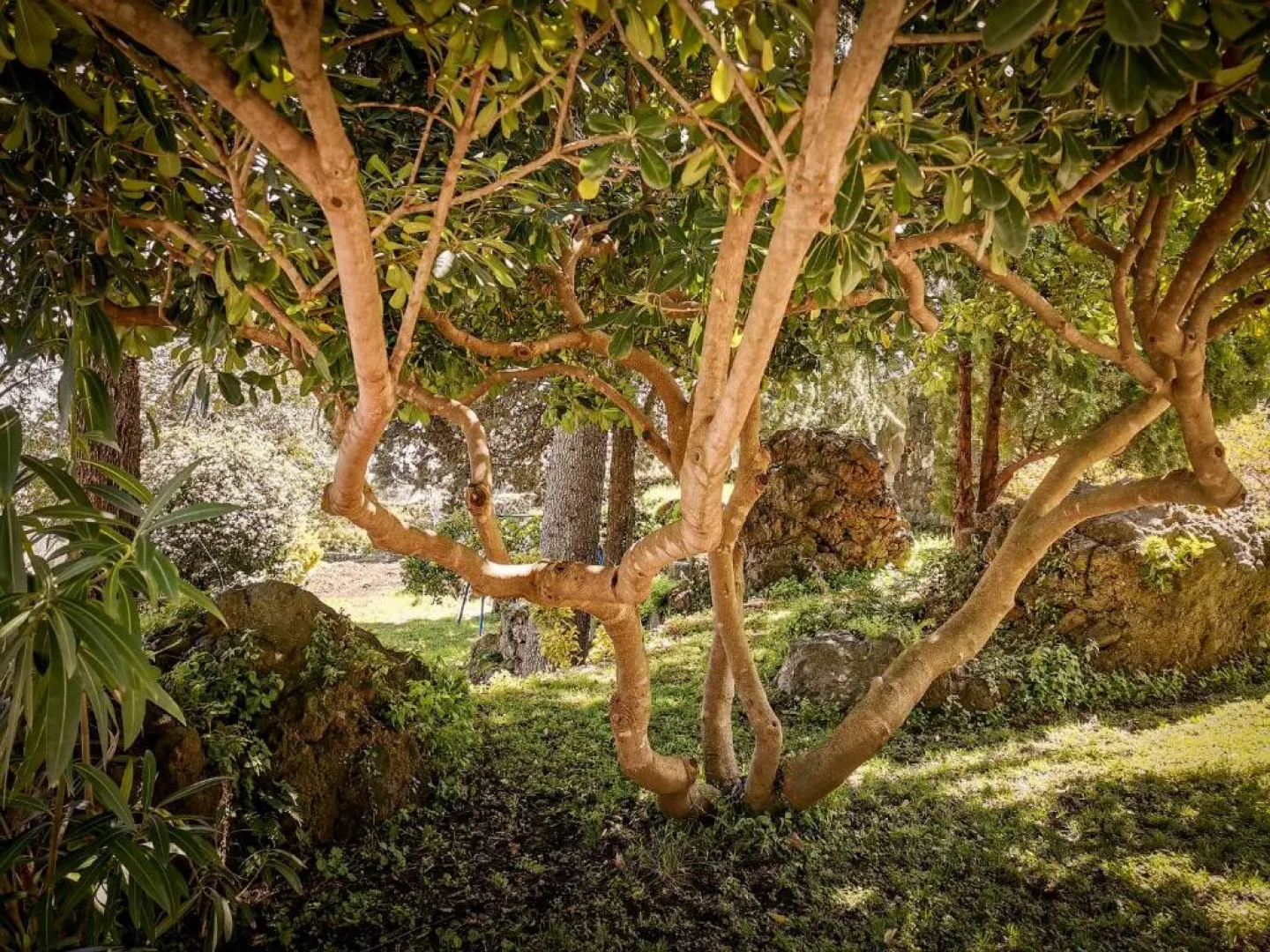 Santoro Country House