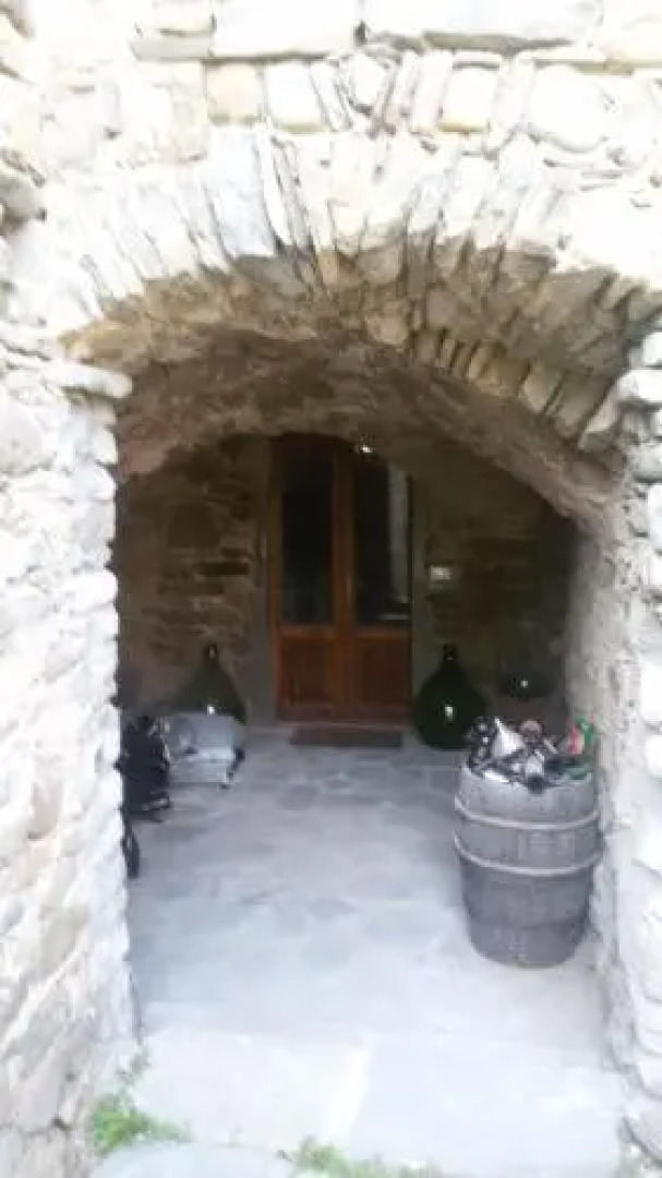 San Francesco E Il Lupo