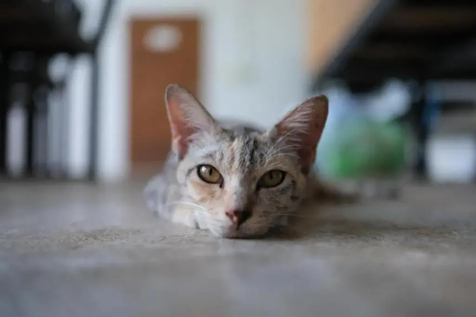 Relaxing House Koh Yao Yai