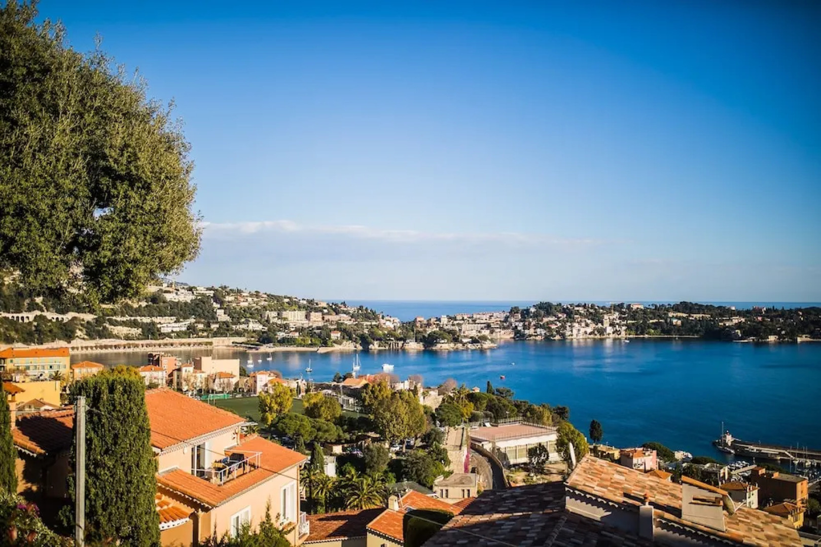 Les Marguerites AP3066