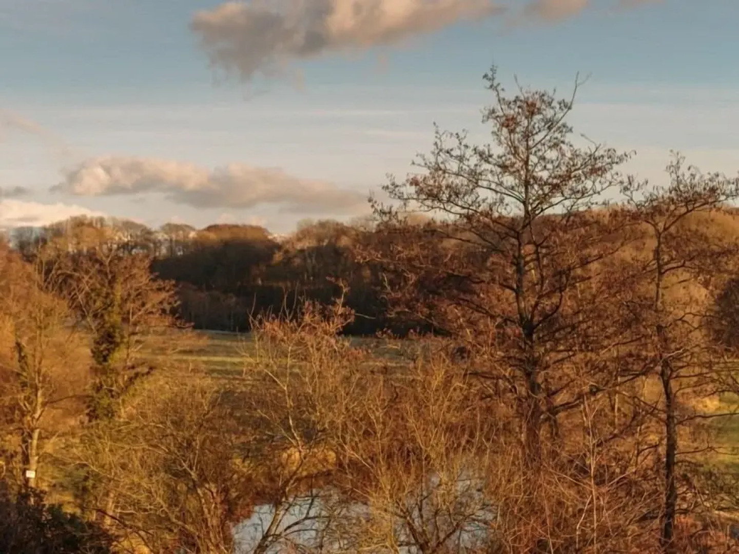 Lutwidge Arms Limited