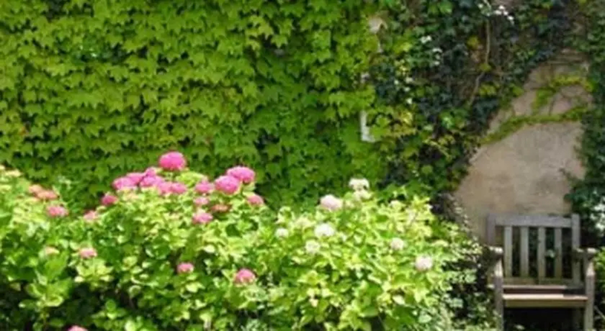 Chateau Fayolle-Luzac