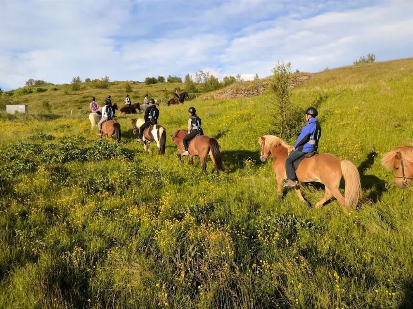 Finnsstaðir Horse Ranch