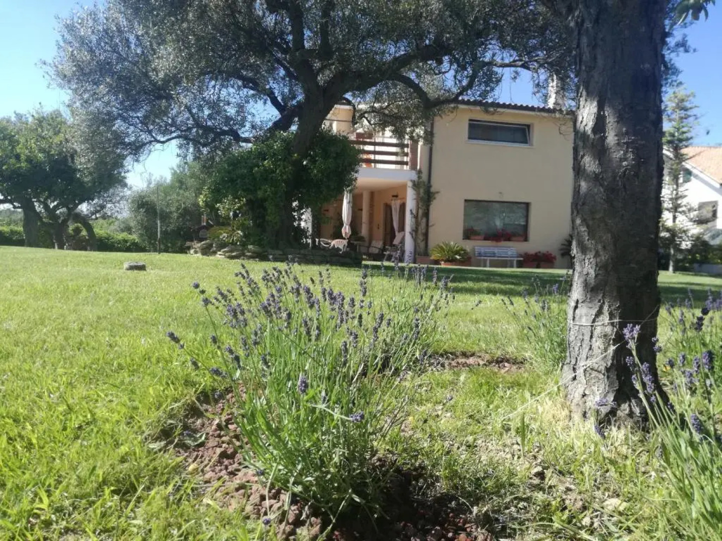 La Collina del Riccio