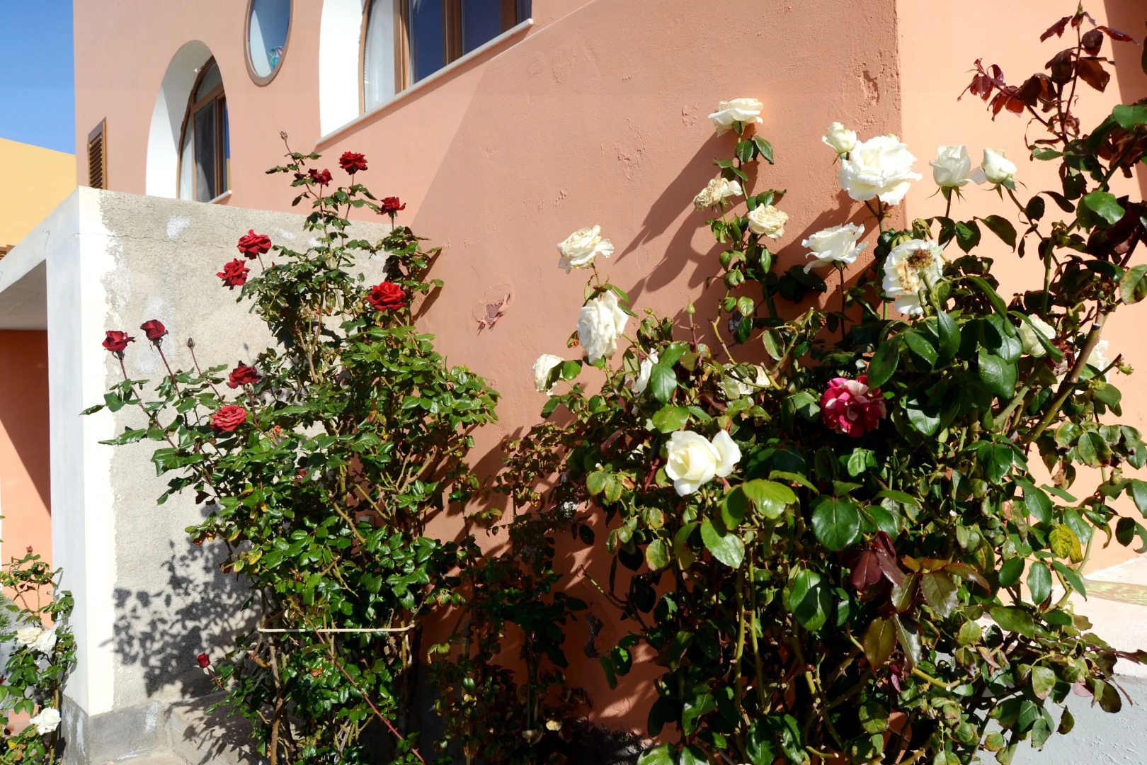 Dammusi Vicolo Vecchio