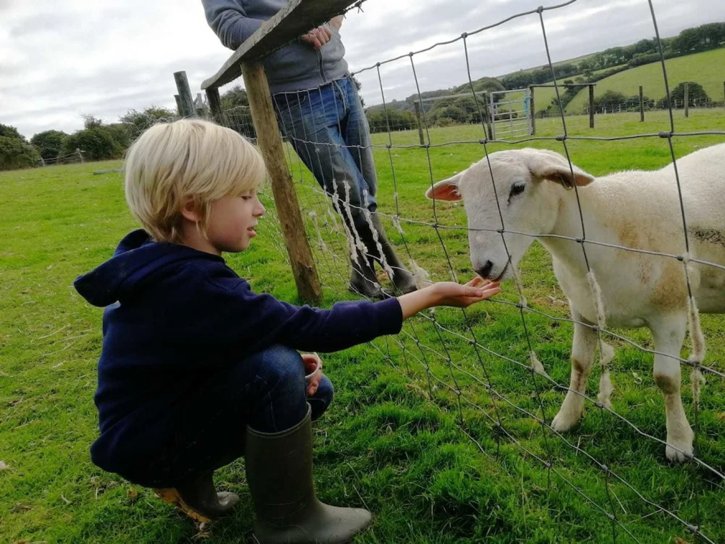 Higher Culloden Farm