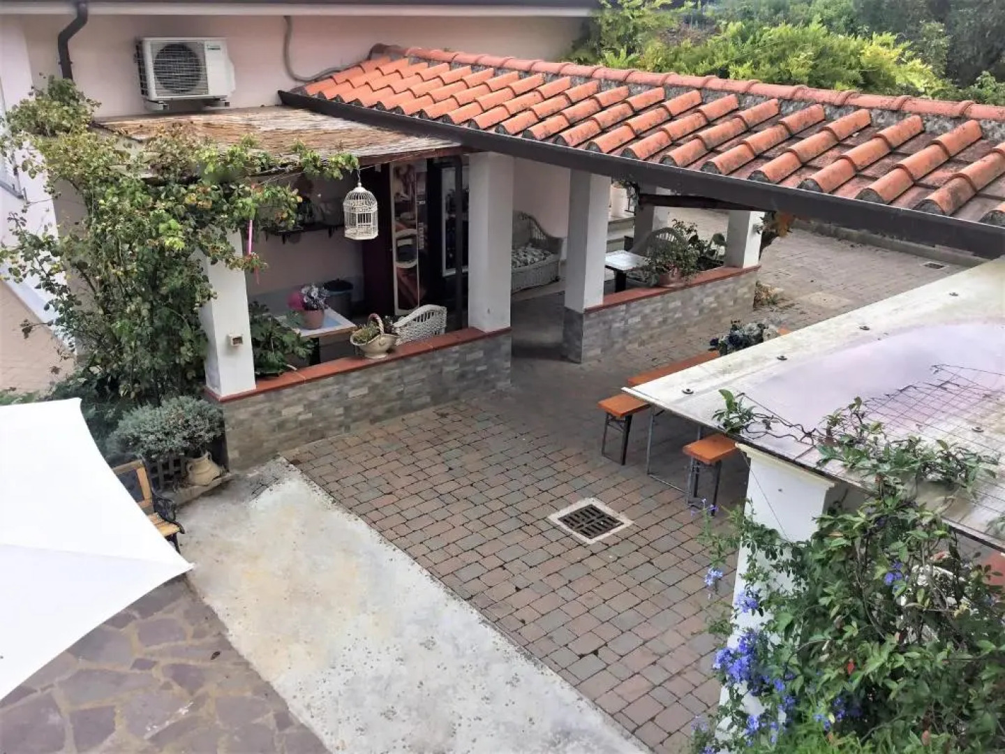 I Girasoli di Migliarino