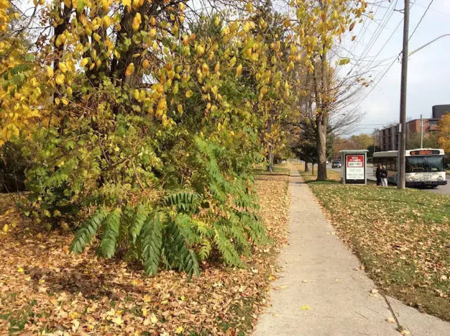 Richmond Manor Bed & Breakfast