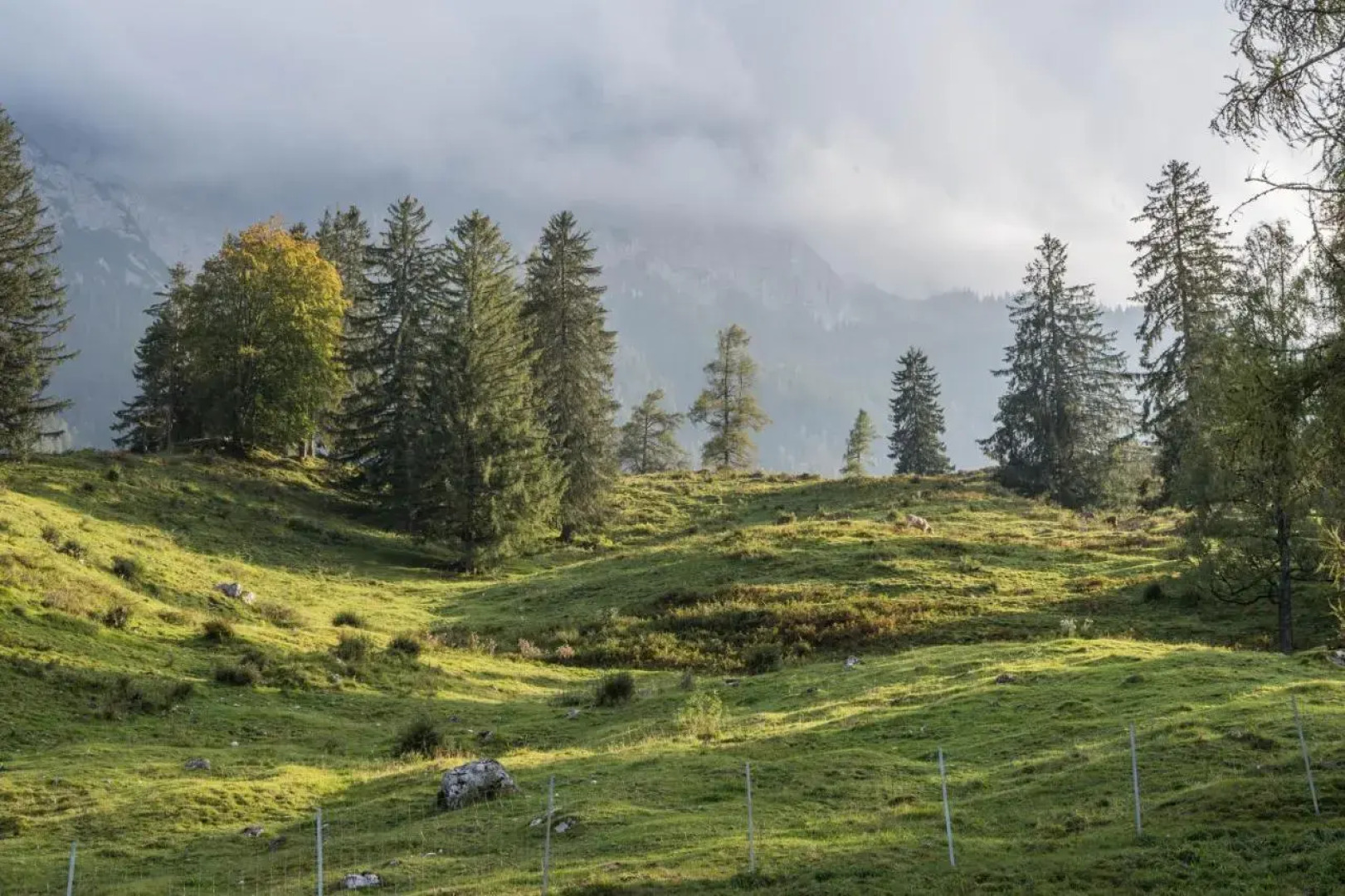Ferienwohnungen Merzer