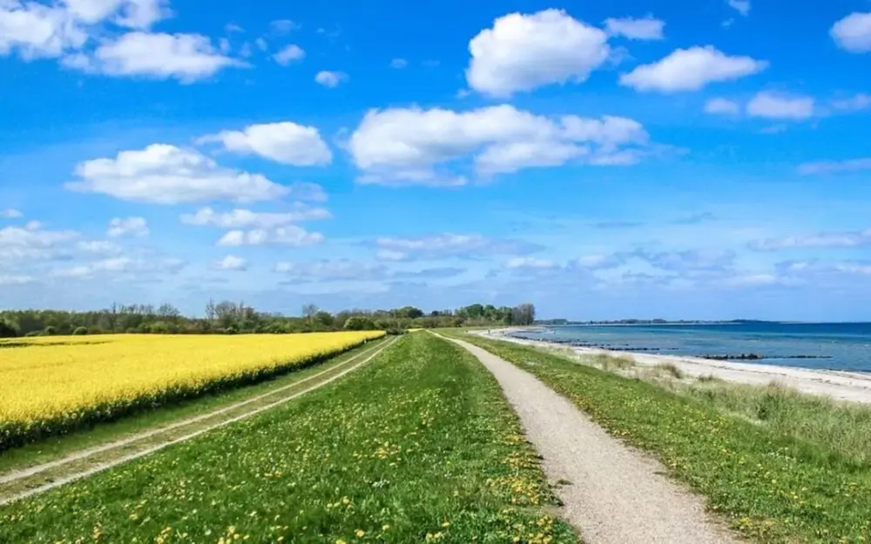 Huus Schippe "collund"