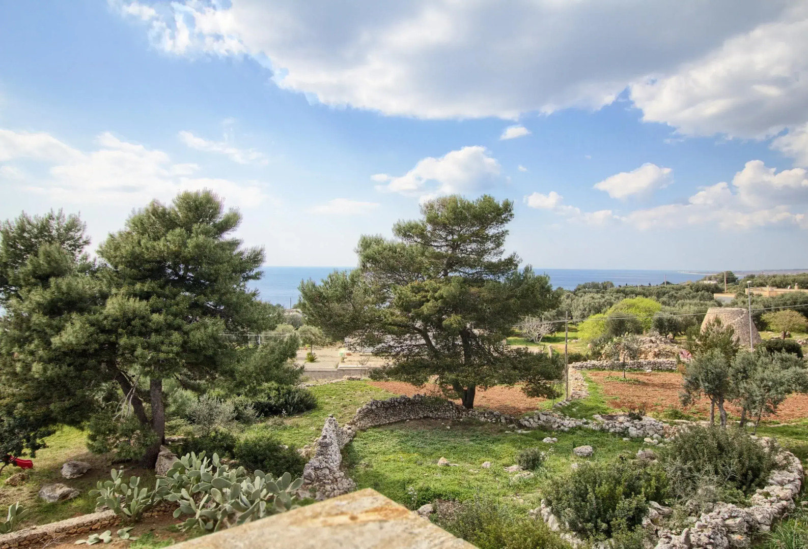 Pino Amazing Seaview