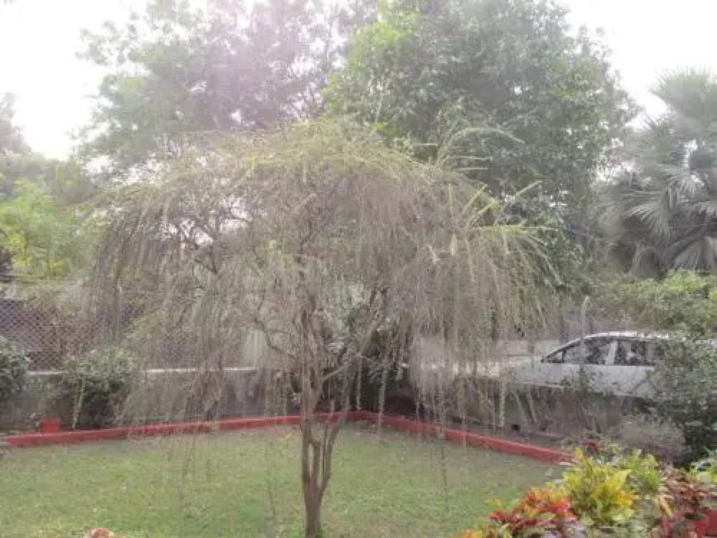 Aayesh Bed & Breakfast