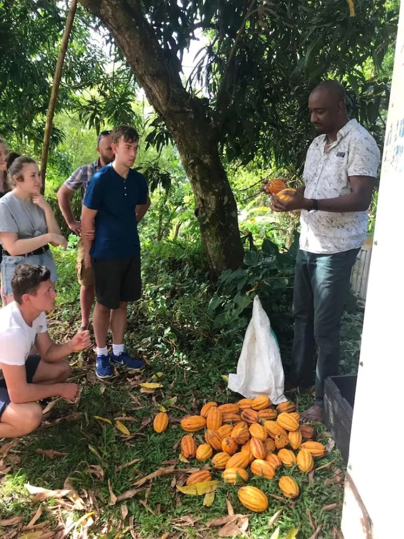 House With one Bedroom in Le Robert, With Wonderful Mountain View, Fur