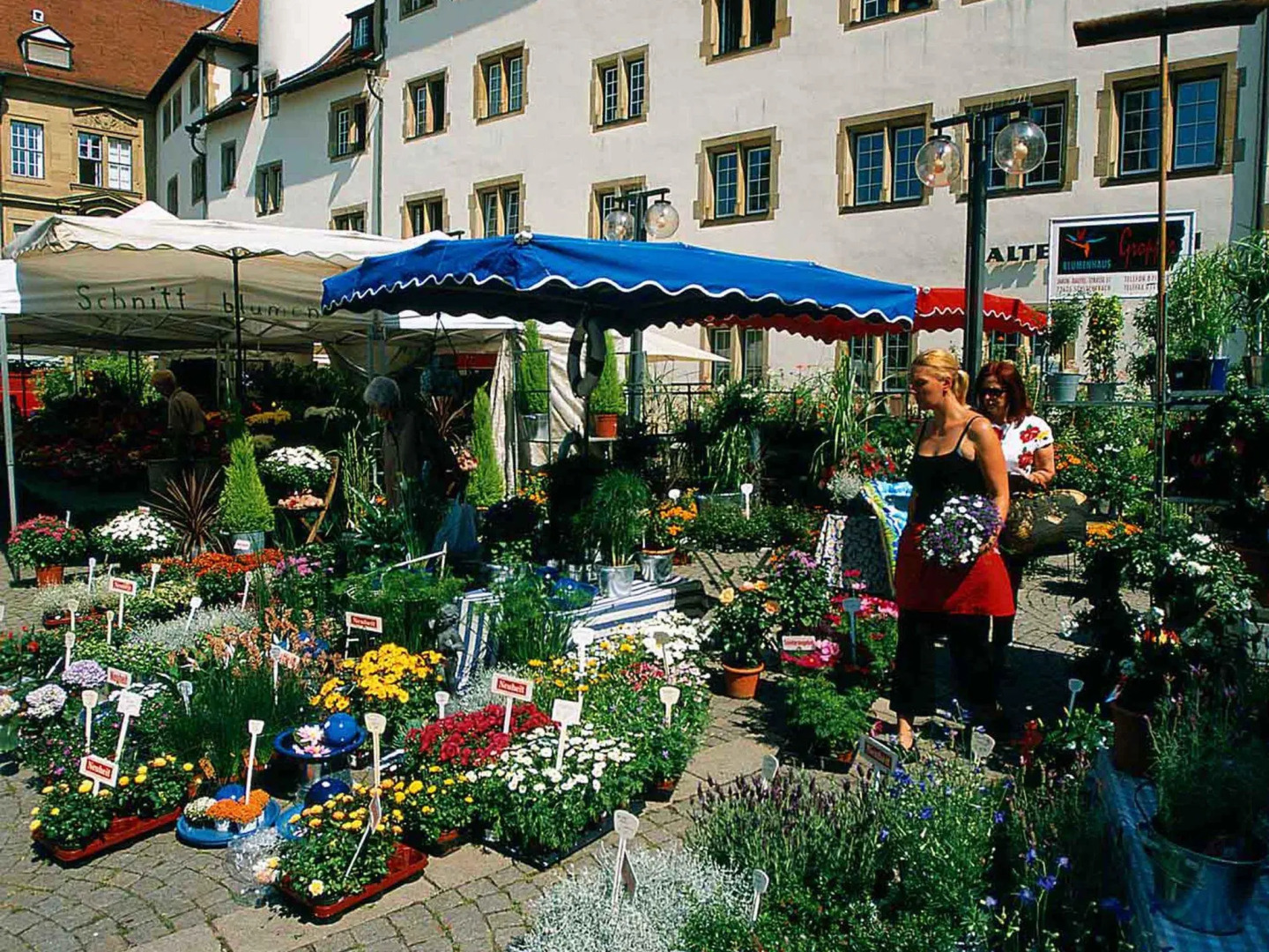 Scandic Stuttgart Europaviertel (Neueröffnung/Reopening)