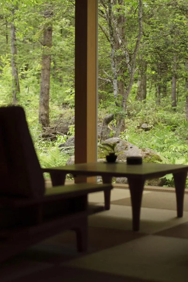 Mozumo - Adults Only