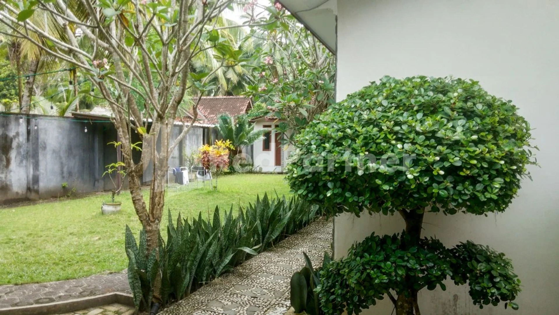 The SO Hotel Mitra RedDoorz