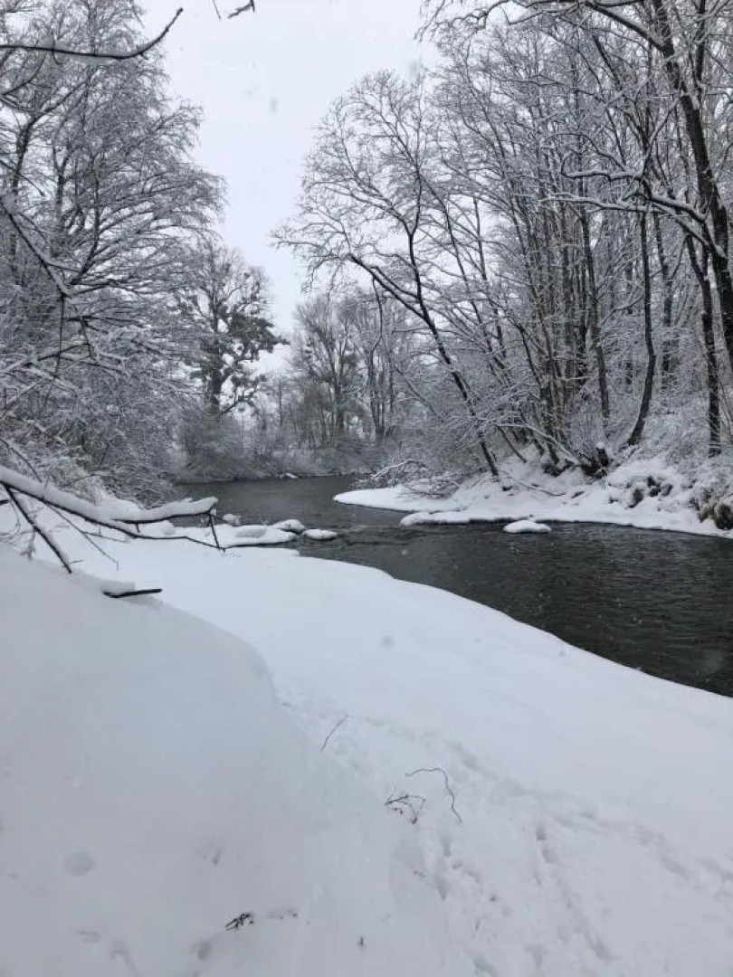 Apartment Fewo Irdning Pichlarn