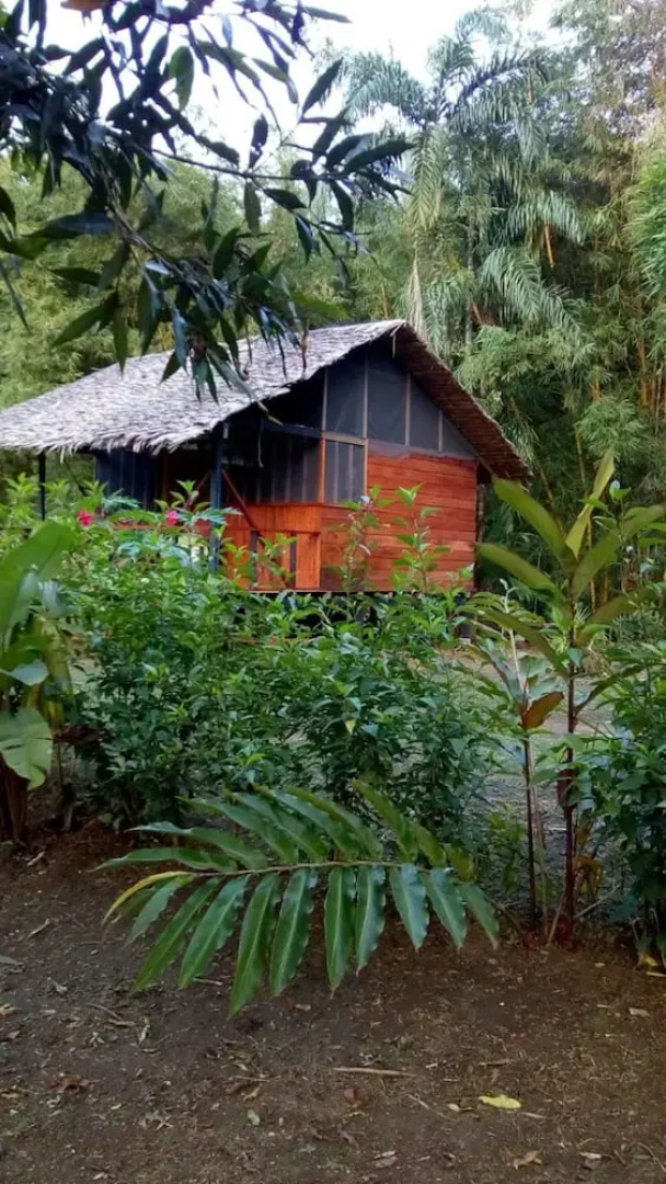 Rio Mar Bahía Solano Choco Colombia